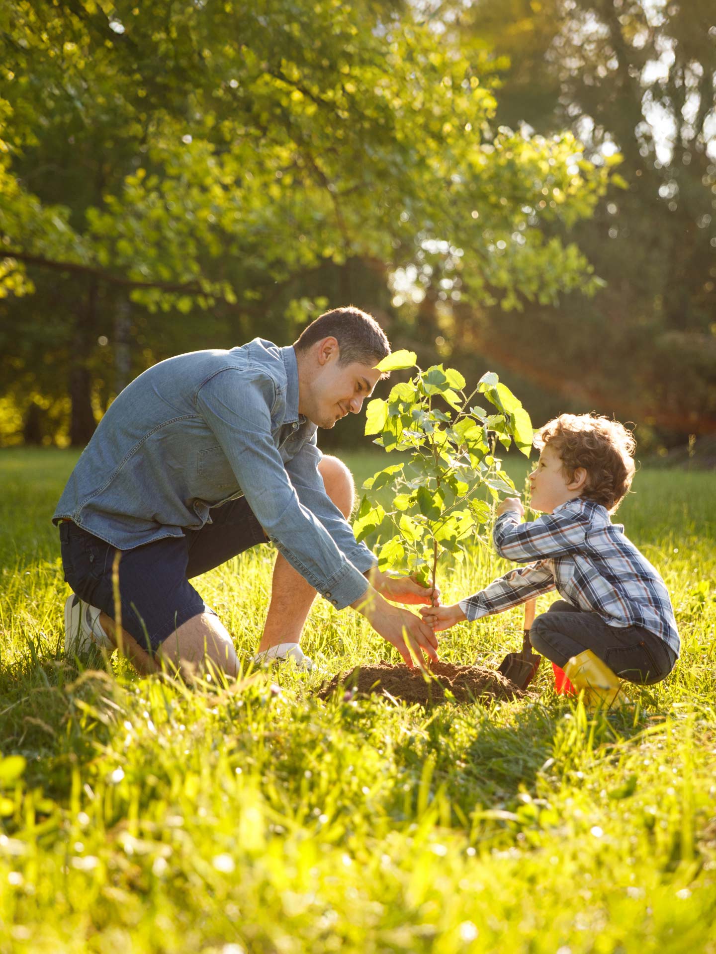 Ein Vater und sein Kind pflanzen gemeinsam eine Pflanze auf den Boden einer Wiese